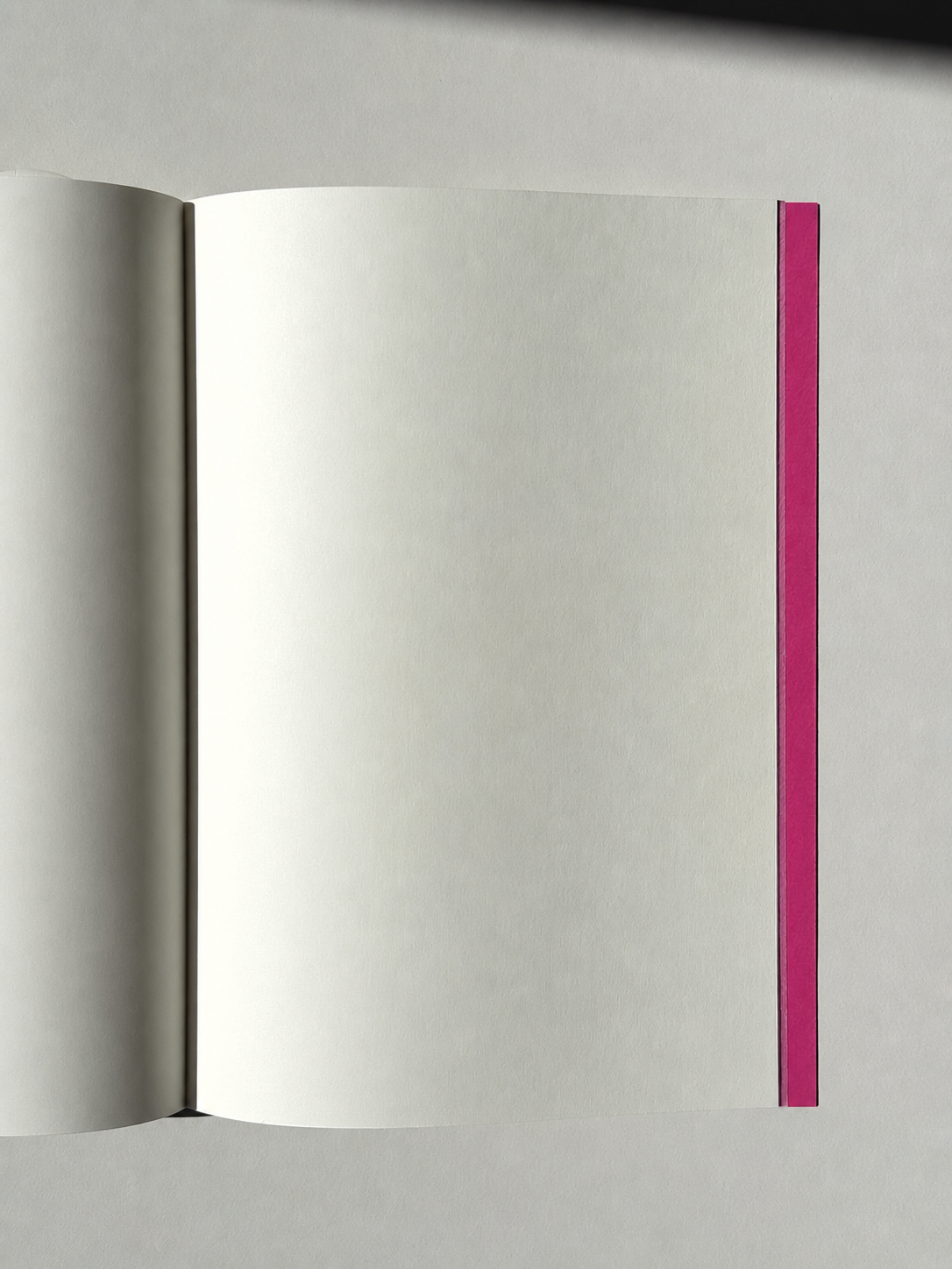 Apartamento Notebook Dragon fruit