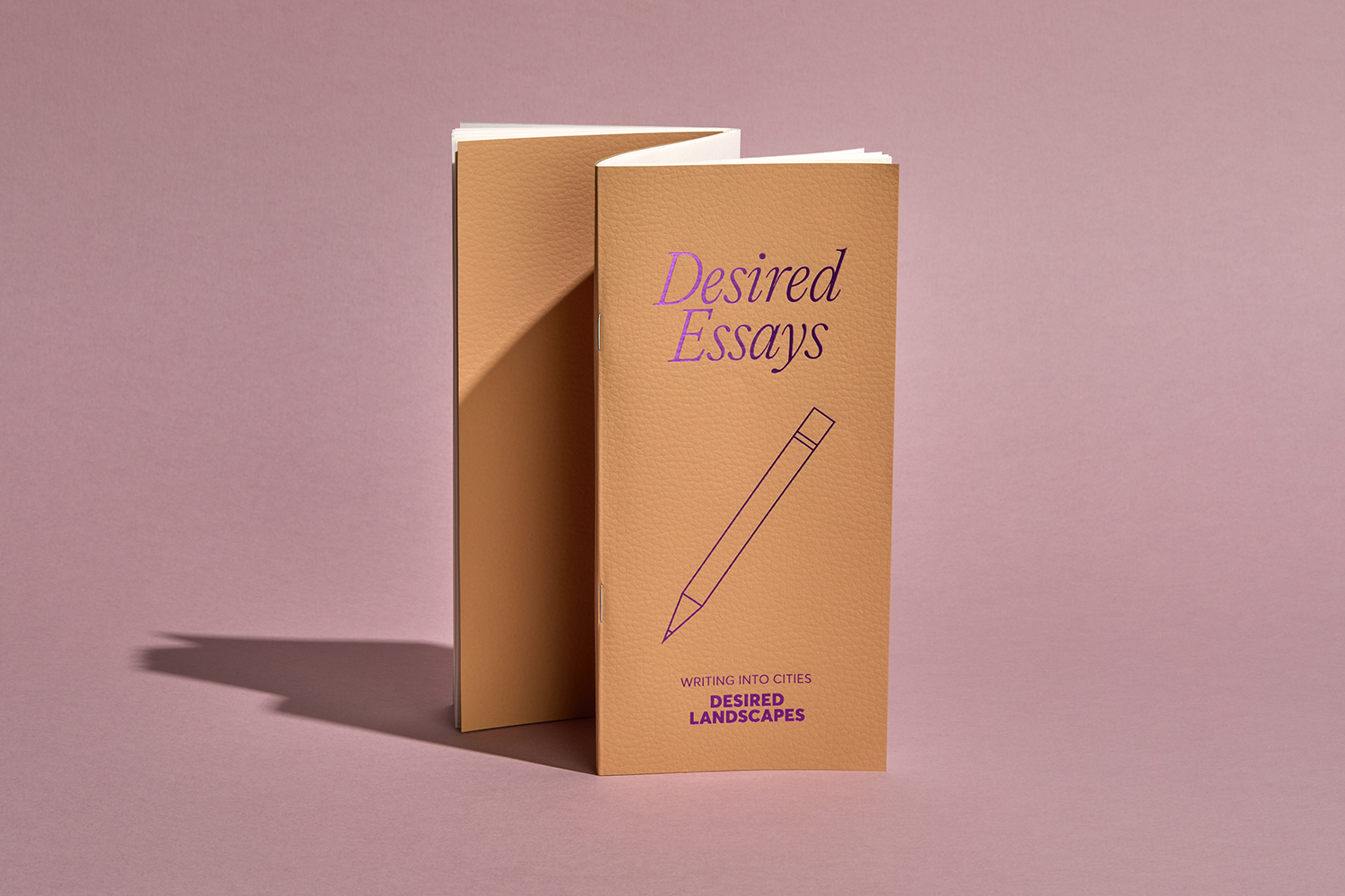 Desired Essays Journal #1