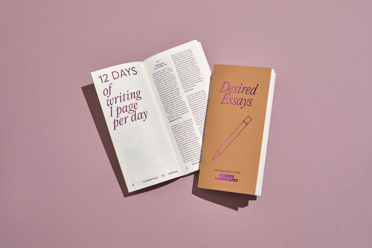 Desired Essays Journal #1