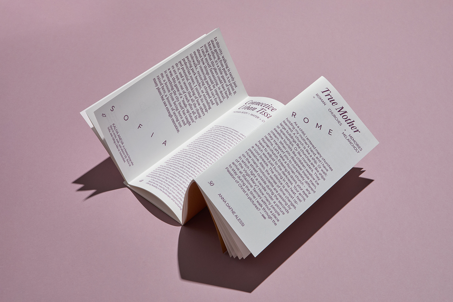 Desired Essays Journal #1