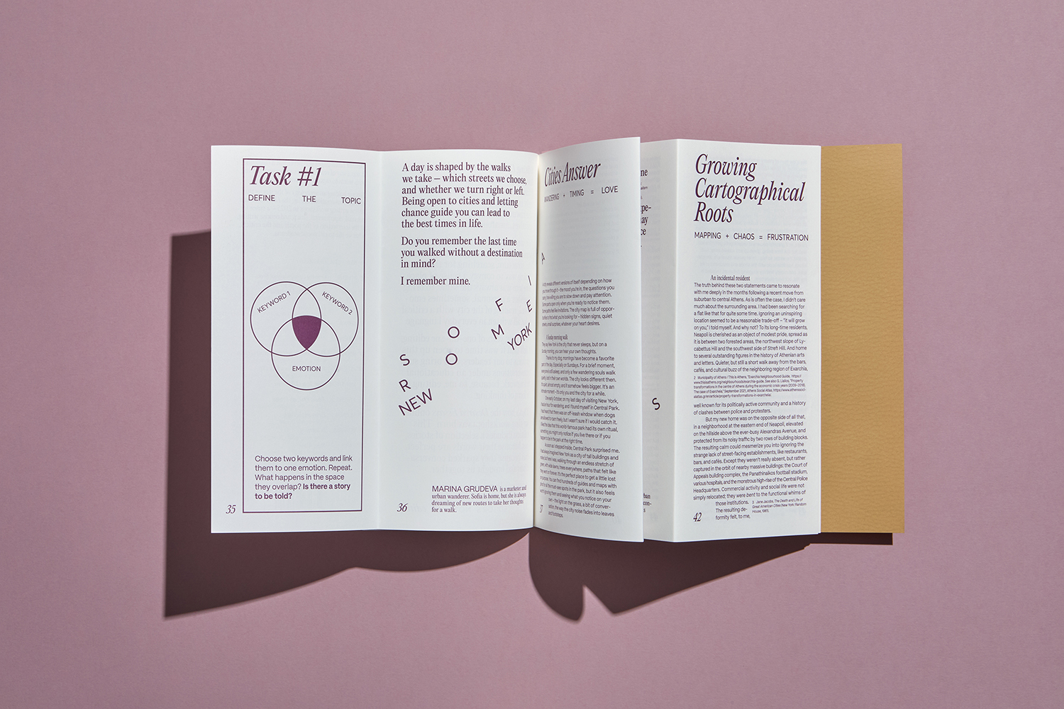 Desired Essays Journal #1