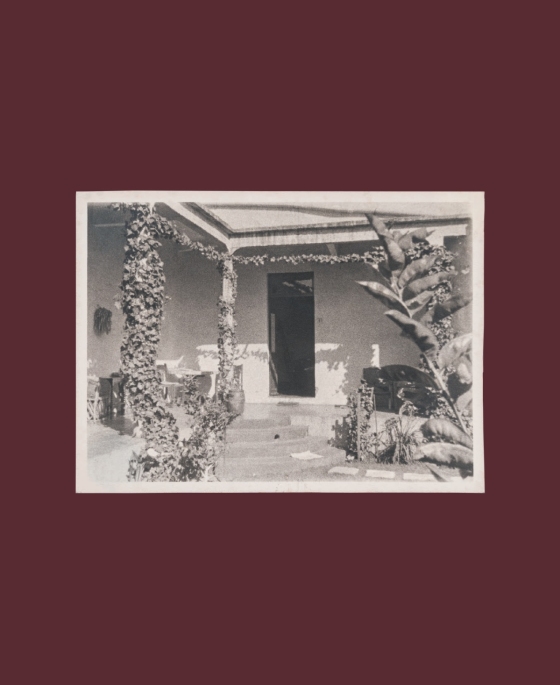 Casa Kahlo: Frida Kahlo’s Family Home and Sanctuary