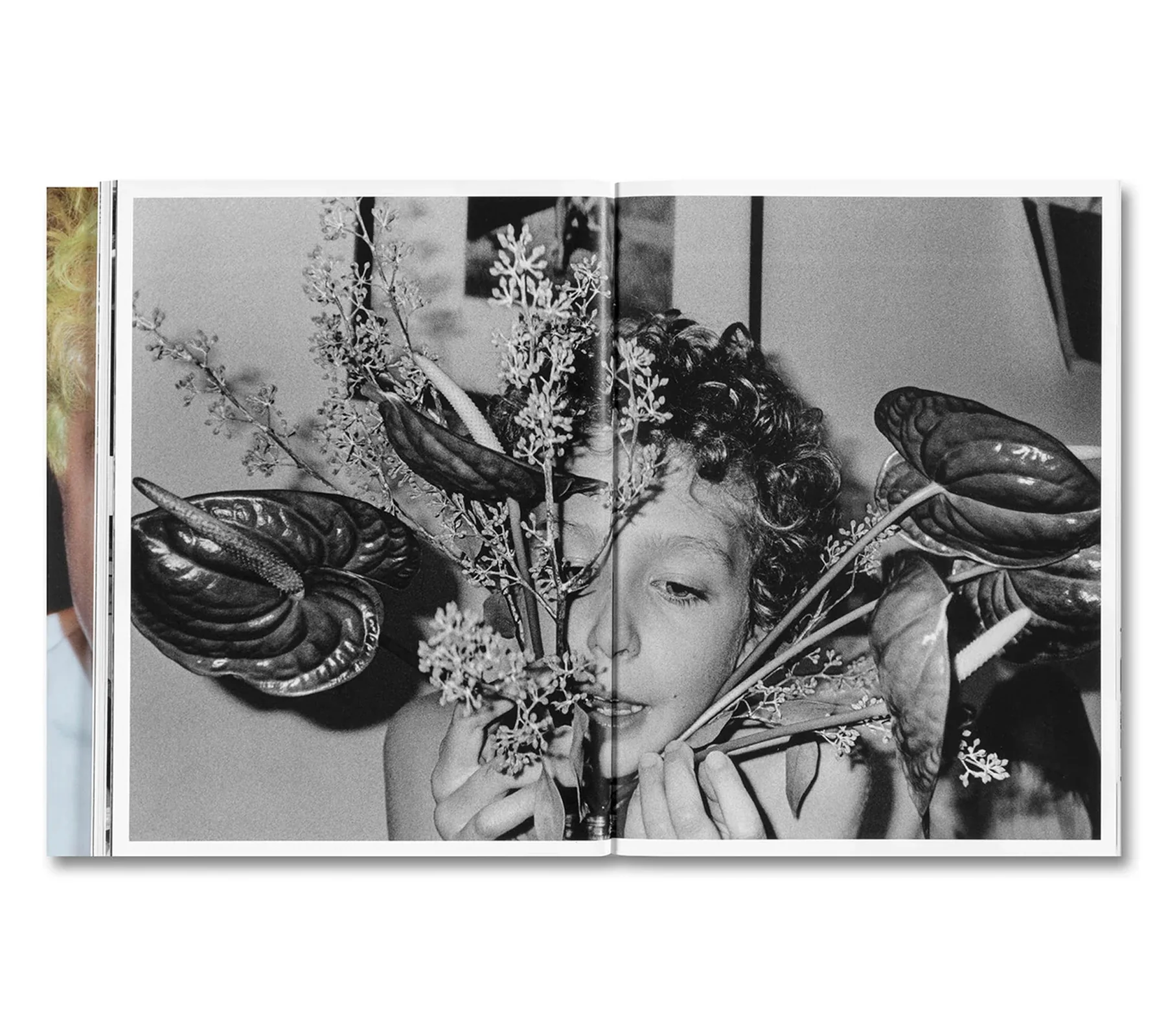 Nick Haymes: Chronograph
