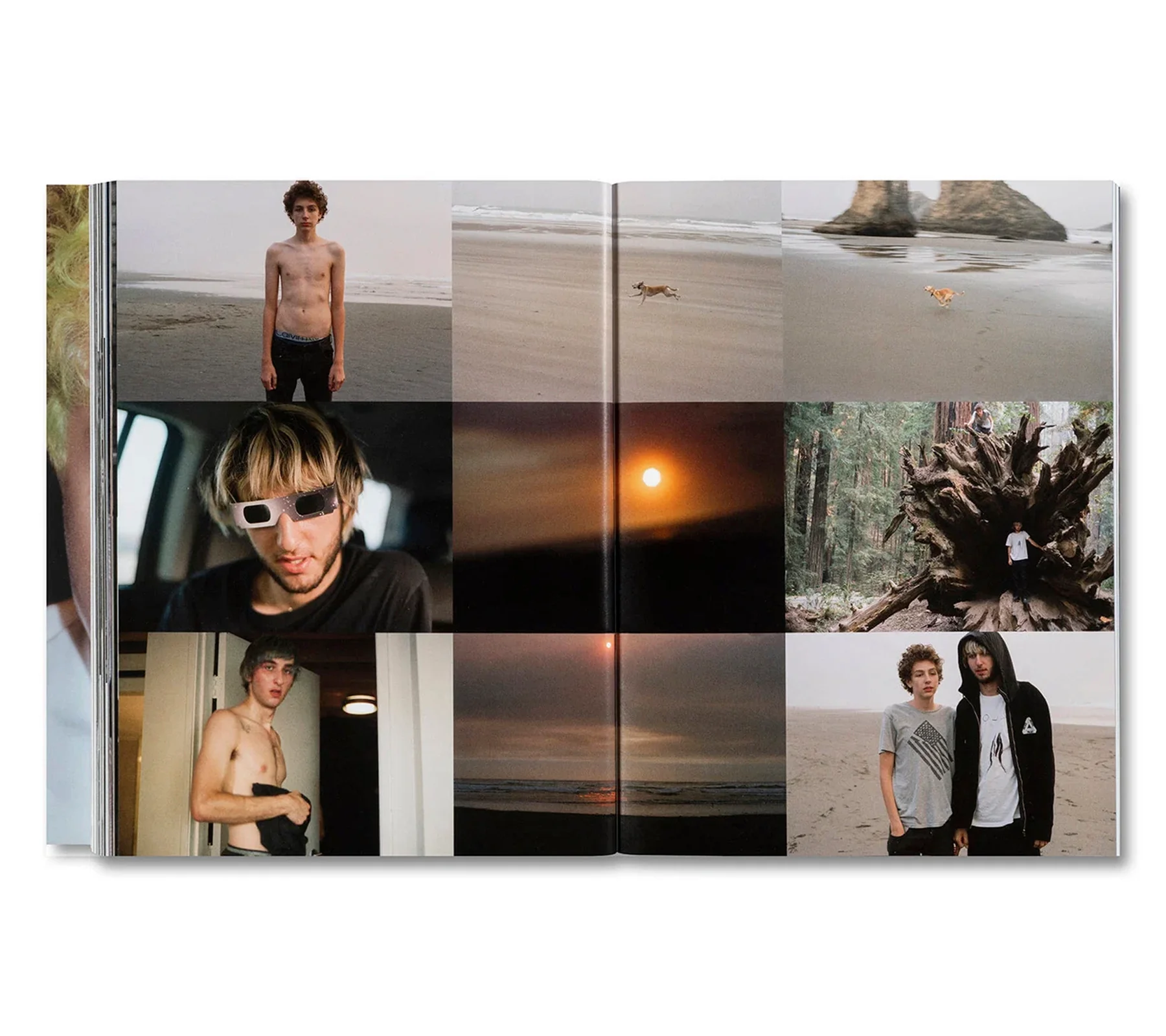 Nick Haymes: Chronograph