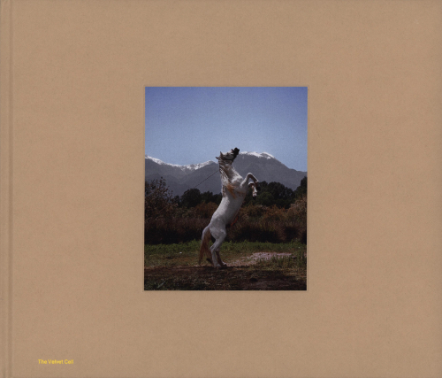 Kosmas Pavlidis: Sunny Days A True Story