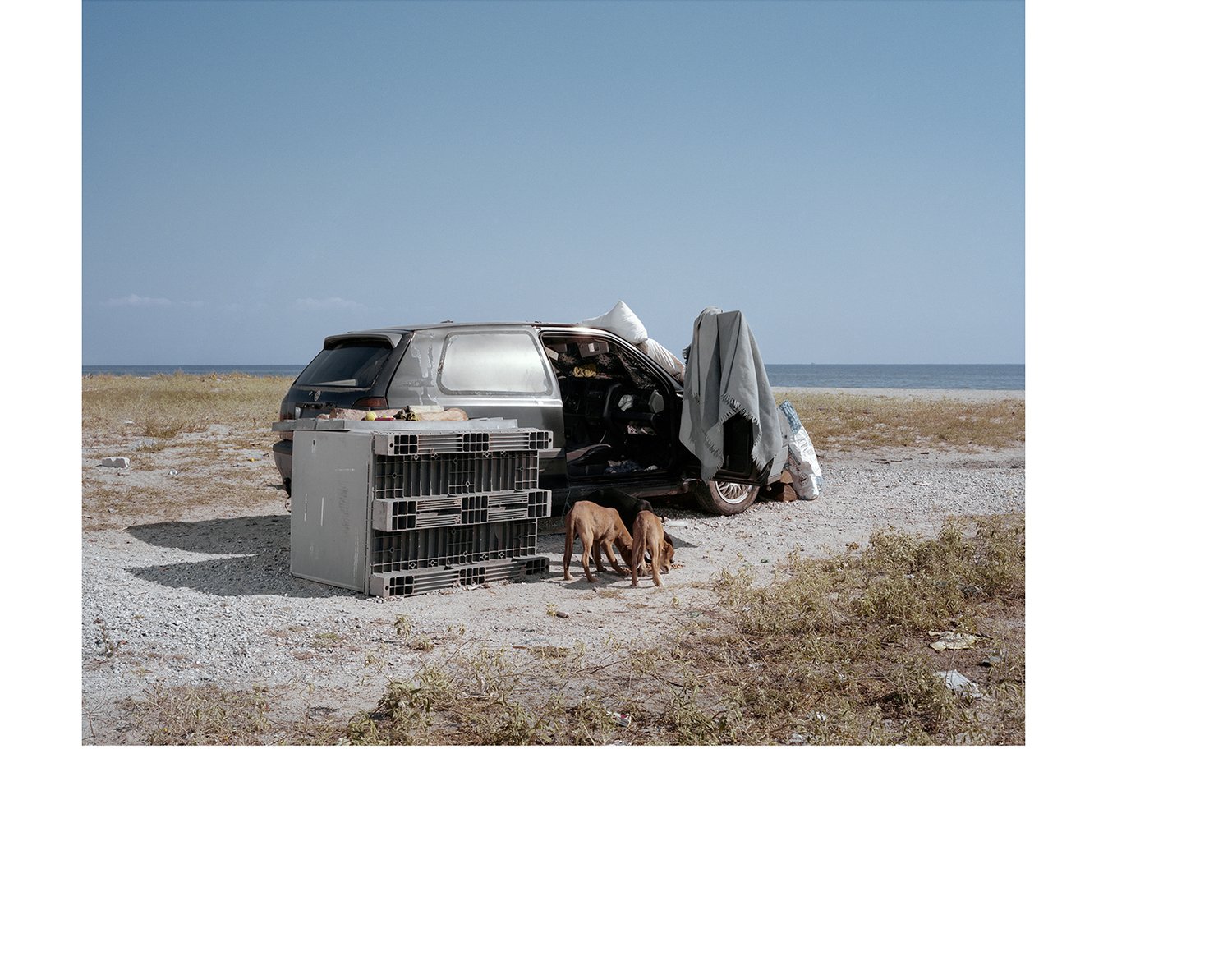 Kosmas Pavlidis: Sunny Days A True Story