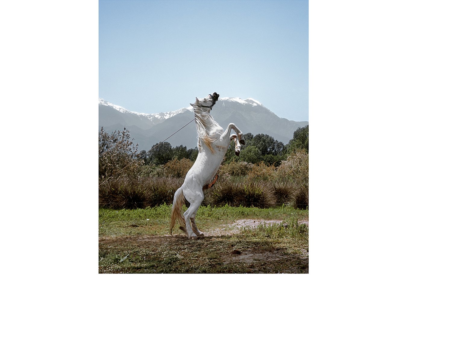 Kosmas Pavlidis: Sunny Days A True Story