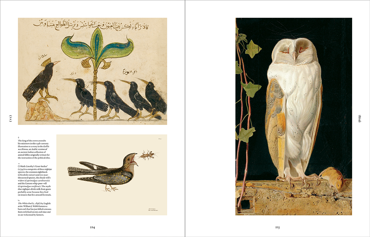 Ark: A Visual Treasury of Earth’s Living Wonders