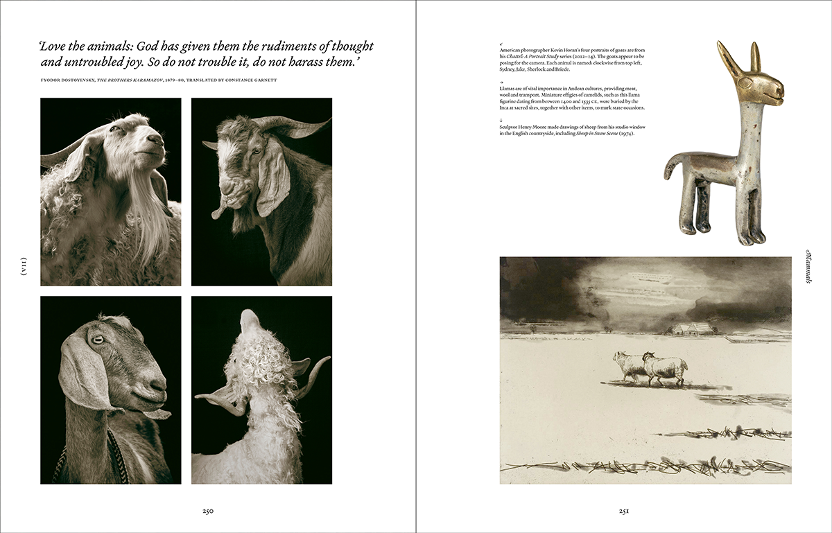 Ark: A Visual Treasury of Earth’s Living Wonders
