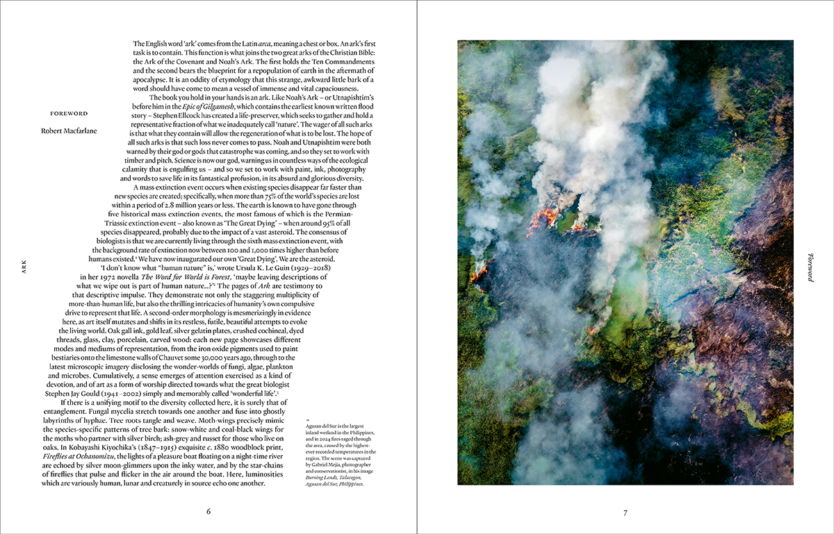 Ark: A Visual Treasury of Earth’s Living Wonders