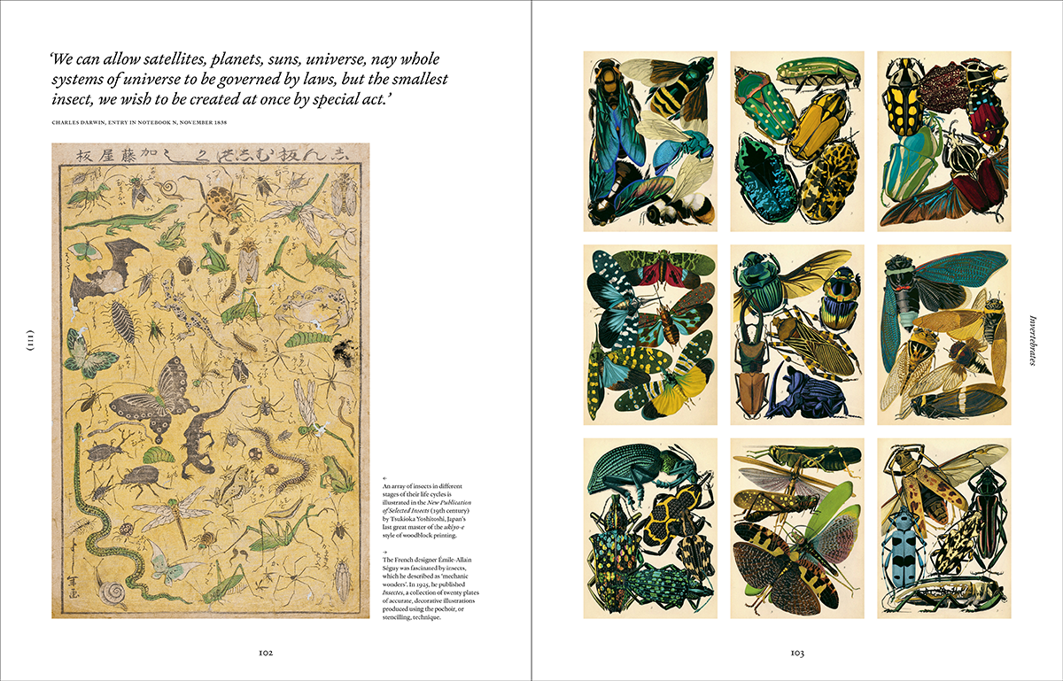 Ark: A Visual Treasury of Earth’s Living Wonders