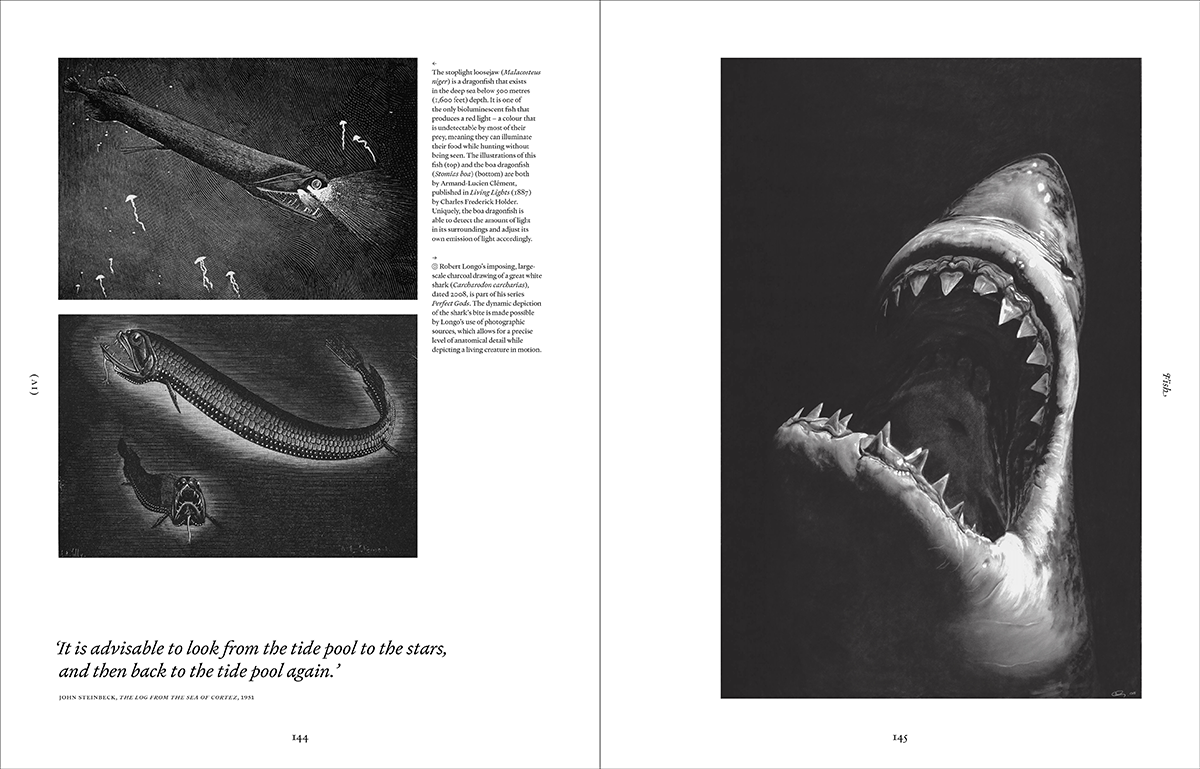 Ark: A Visual Treasury of Earth’s Living Wonders