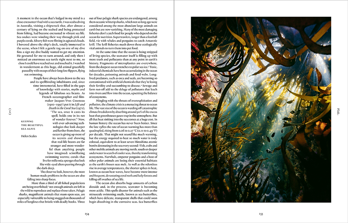 Ark: A Visual Treasury of Earth’s Living Wonders