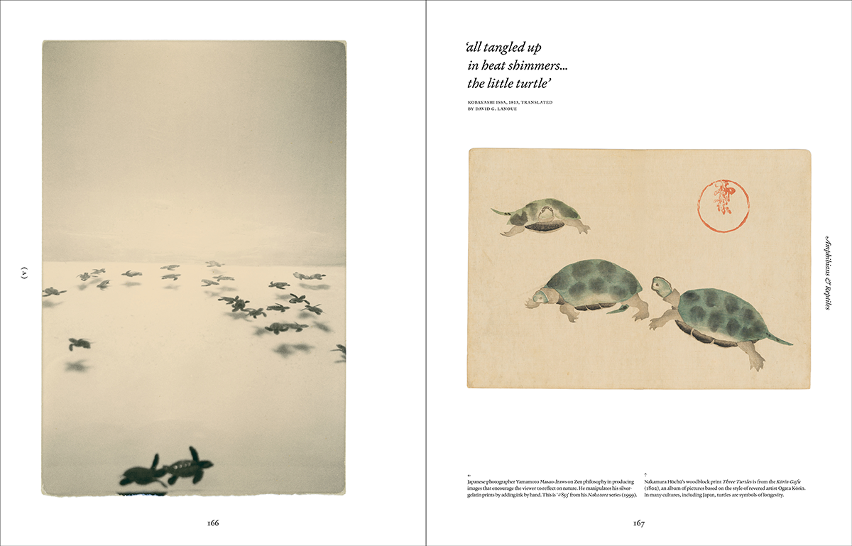 Ark: A Visual Treasury of Earth’s Living Wonders