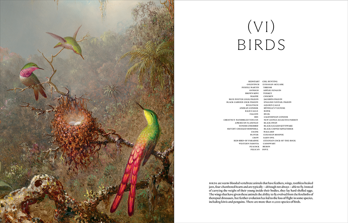 Ark: A Visual Treasury of Earth’s Living Wonders