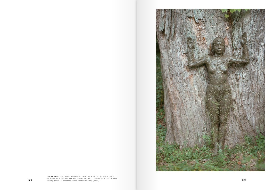Ana Mendieta