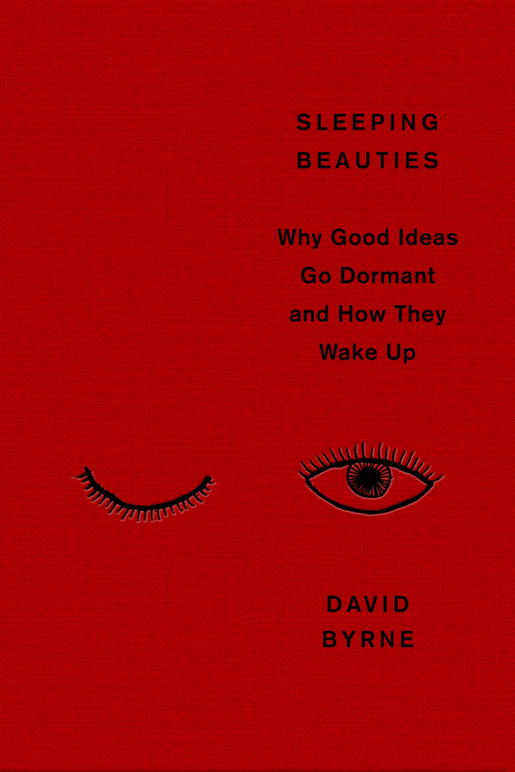 Sleeping Beauties: Why Good Ideas Go Dormant and How They Wake Up