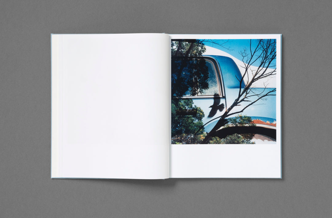 Jason Fulford: Frozen Features