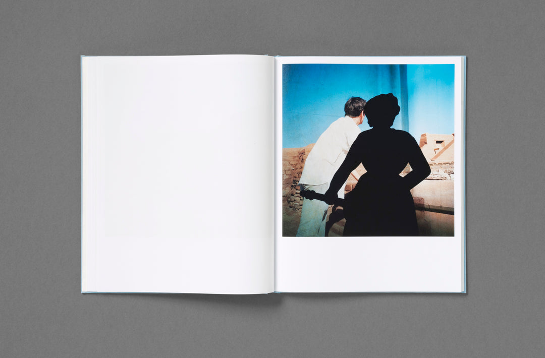 Jason Fulford: Frozen Features